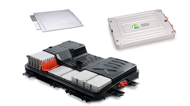 LEAF battery cell module and pack