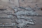 Thumbnail image for Tsunami provided real world LEAF battery survival test